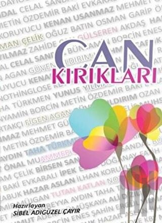 Can Kırıkları