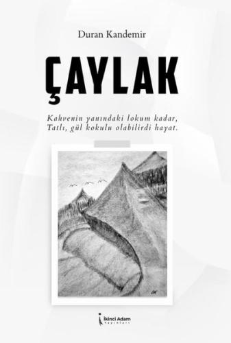 Çaylak