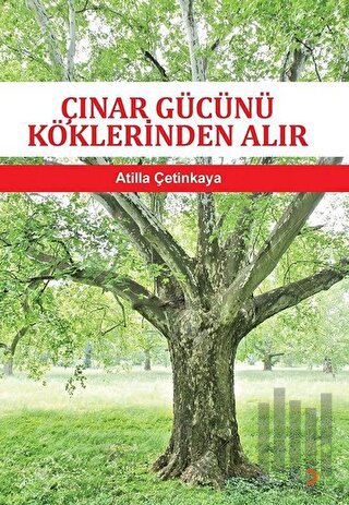 Çınar Gücünü Köklerinden Alır