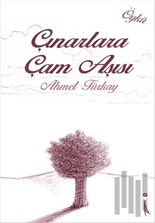 Çınarlara Çam Aşısı | Kitap Ambarı