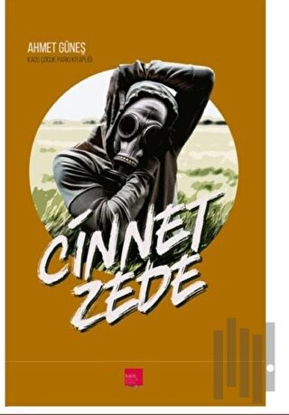 Cinnetzede