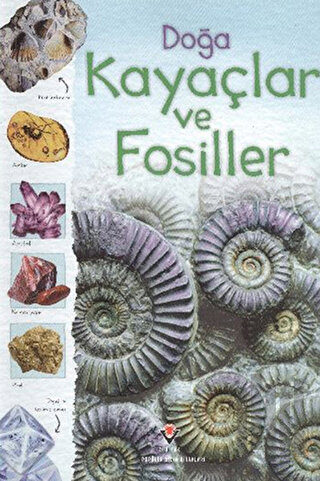 Doğa Kayaçlar ve Fosiller