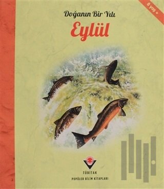 Doğanın Bir Yılı - Eylül
