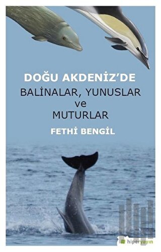 Doğu Akdeniz'de Balinalar, Yunuslar ve Muturlar