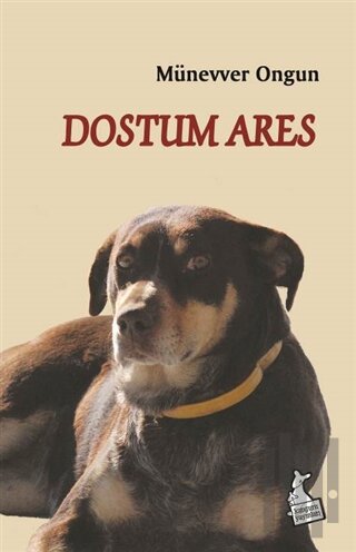 Dostum Ares | Kitap Ambarı