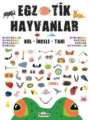 Egzotik Hayvanlar - Bul İncele Tanı