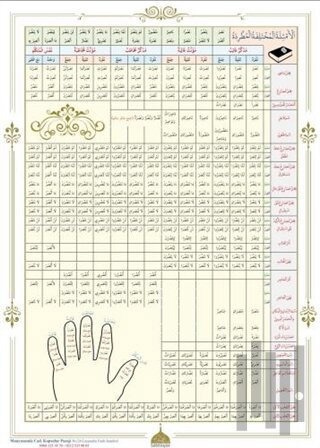 Emsile Bina Şeması