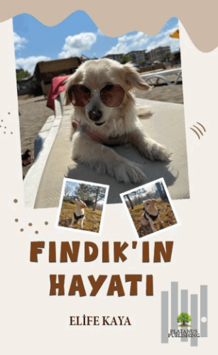 Fındık’ın Hayatı