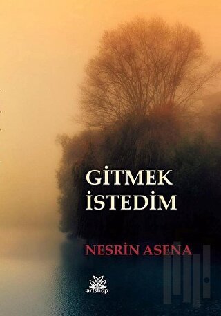 Gitmek İstedim