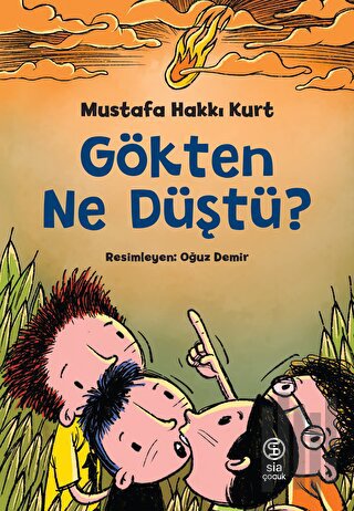 Gökten Ne Düştü?