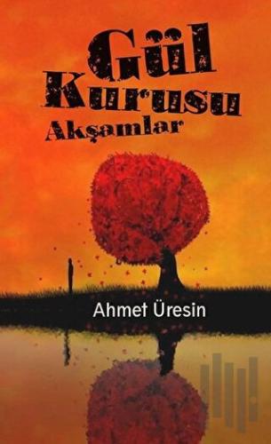 Gül Kurusu Akşamlar | Kitap Ambarı