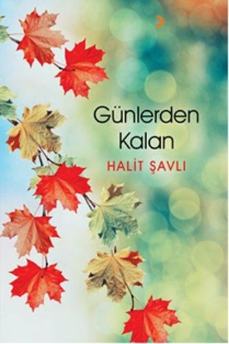 Günlerden Kalan | Kitap Ambarı