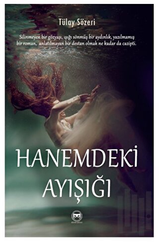 Hanemdeki Ayışığı | Kitap Ambarı