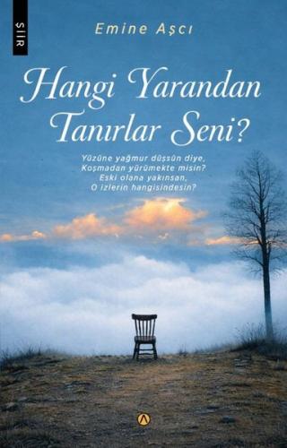 Hangi Yarandan Tanırlar Seni? | Kitap Ambarı