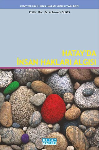 Hatay'da İnsan Hakları Algısı