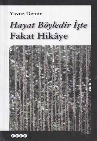 Hayat Böyledir İşte Fakat Hikaye