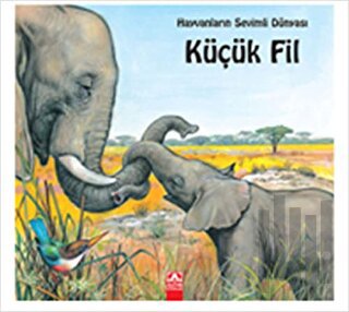 Hayvanların Sevimli Dünyası Küçük Fil