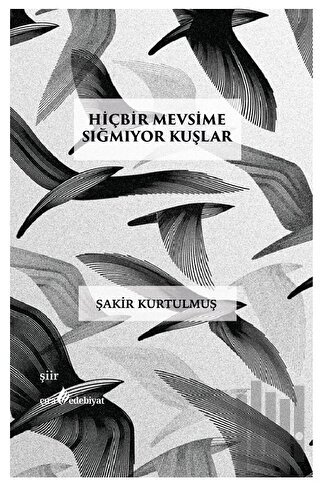 Hiçbir Mevsime Sığmıyor Kuşlar | Kitap Ambarı