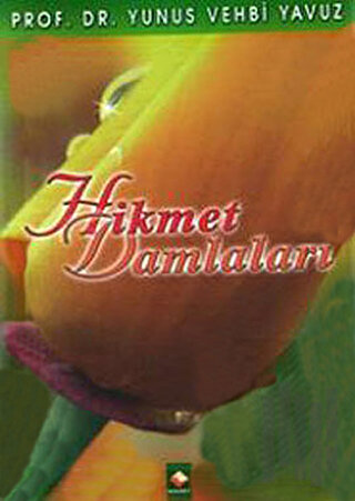 Hikmet Damlaları | Kitap Ambarı