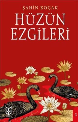 Hüzün Ezgileri | Kitap Ambarı