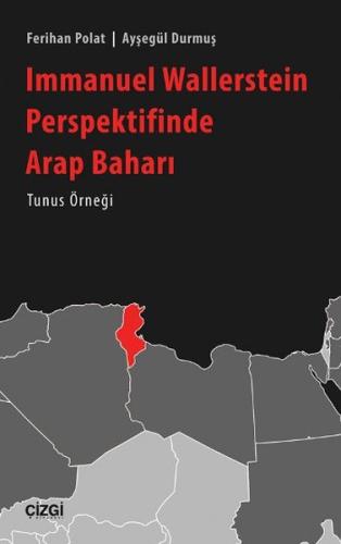 Immanuel Wallerstein Perspektifinde Arap Baharı