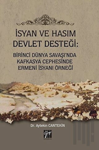 İsyan ve Hasım Devlet Desteği: Birinci Dünya Savaşı'nda Kafkasya Cephesinde Ermeni İsyanı Örneği
