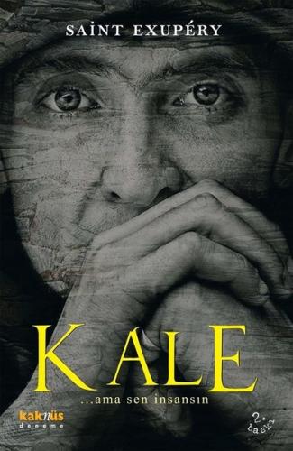 Kale ...Ama Sen İnsansın