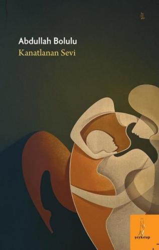 Kanatlanan Sevi | Kitap Ambarı
