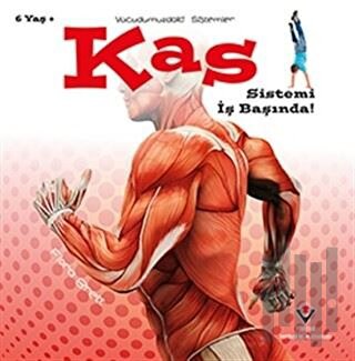 Kas Sistemi İş Başında! - Vücudumuzdaki Sistemler