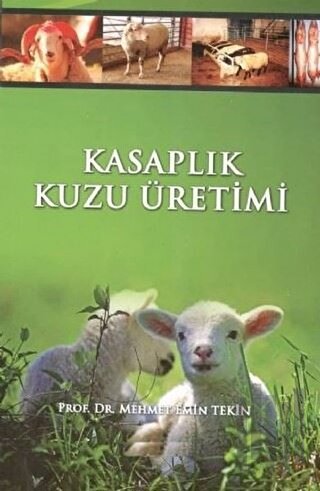 Kasaplık Kuzu Üretimi ve Kuzu Besiciliği