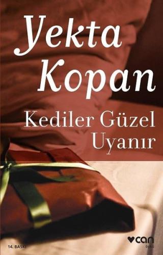 Kediler Güzel Uyanır | Kitap Ambarı