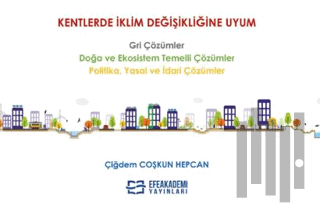 Kentlerde İklim Değişikliğine Uyum