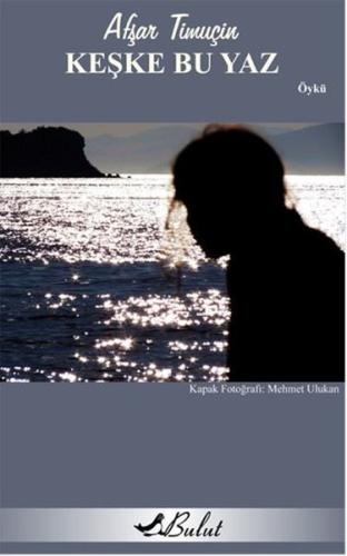 Keşke Bu Yaz | Kitap Ambarı