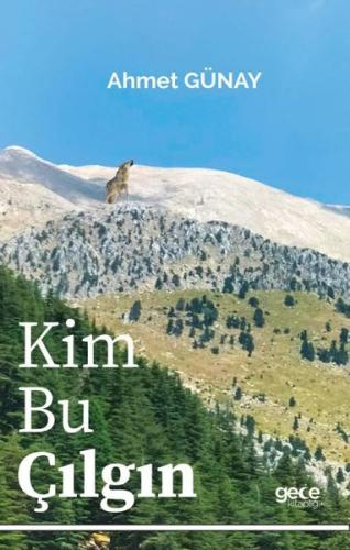 Kim Bu Çılgın | Kitap Ambarı