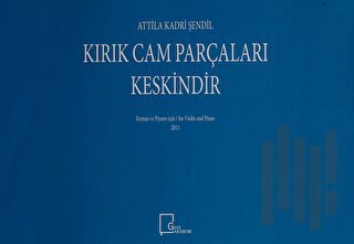 Kırık Cam Parçaları Keskindir
