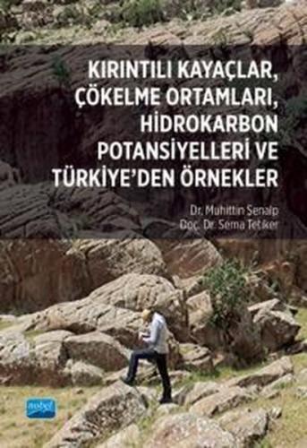 Kırıntılı Kayaçlar Çökelme Ortamları Hidrokarbon Potansiyelleri ve Türkiye'den Örnekler