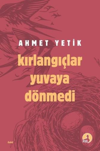 Kırlangıçlar Yuvaya Dönmedi | Kitap Ambarı