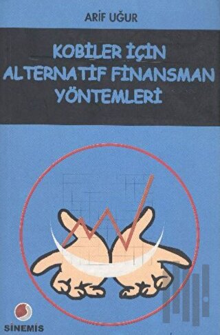 Kobiler İçin Alternatif Finansman Yöntemleri