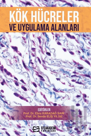 Kök Hücreler ve Uygulama Alanları