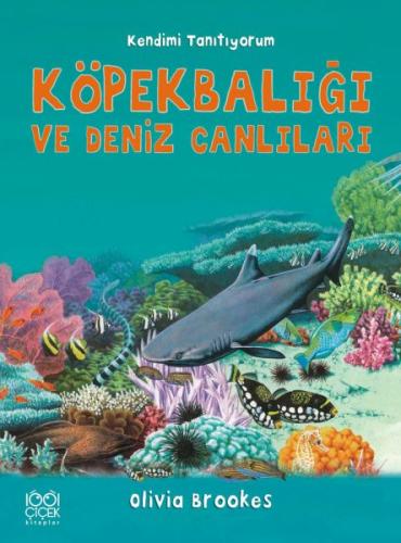 Köpek Balığı ve Deniz Canlılarına Soralım (Ciltli) | Kitap Ambarı
