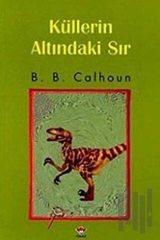 Küllerin Altındaki Sır