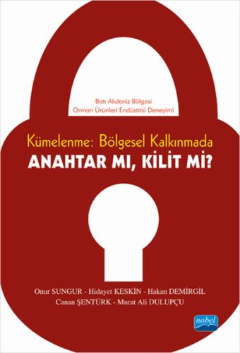 Kümelenme: Bölgesel Kalkınmada Anahtar mı Kilit mi?