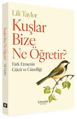 Kuşlar Bize Ne Öğretir? Fark Etmenin Gücü ve Güzelliği