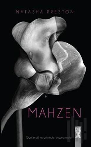 Mahzen | Kitap Ambarı
