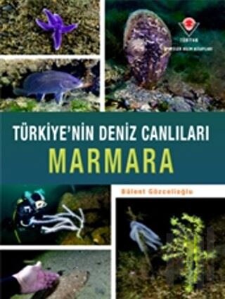 Marmara - Türkiye'nin Deniz Canlıları (Ciltli)