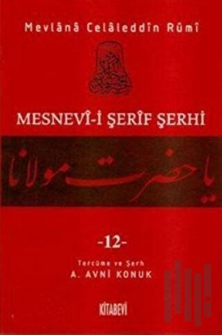 Mesnevi-i Şerif Şerhi Cilt: 12
