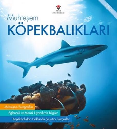 Muhteşem Köpekbalıkları