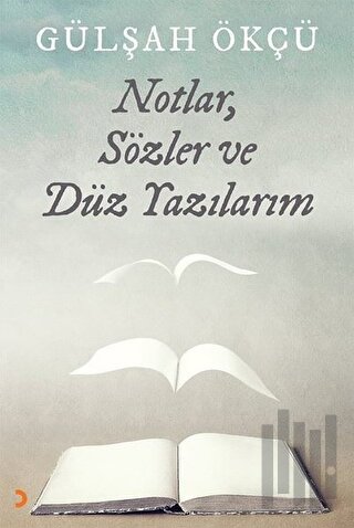 Notlar Sözler ve Düz Yazılarım