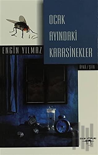 Ocak Ayındaki Karasinekler