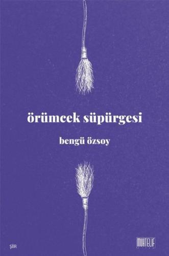 Örümcek Süpürgesi